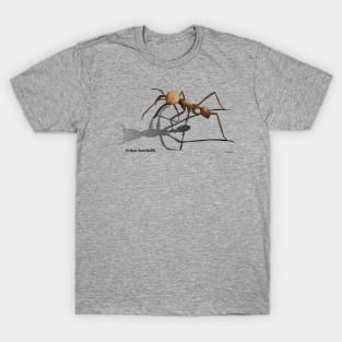 Army ant T-Shirt